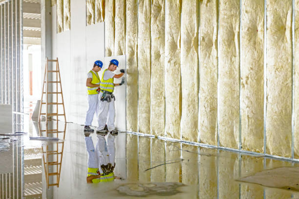 Best Insulation Installation Services in Snyder, OK